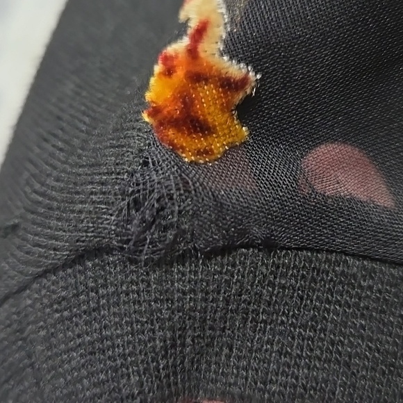 2/$20 Zara velvet floral mesh t-shirt dress, size S - Picture 12 of 13